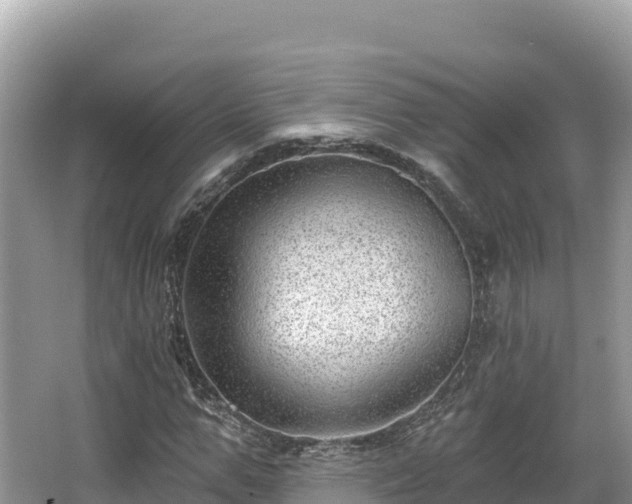 X0000067900967200604171359