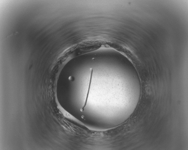 X0000067900968200604171359