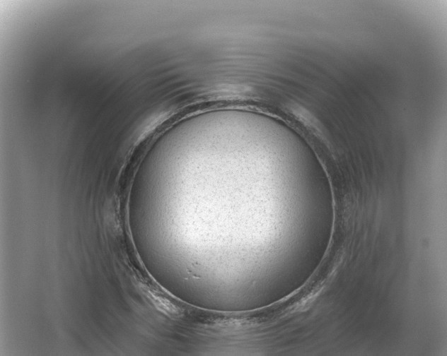 X0000067900970200604171359