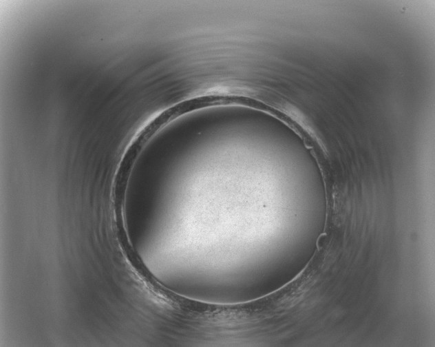 X0000067900972200604171358