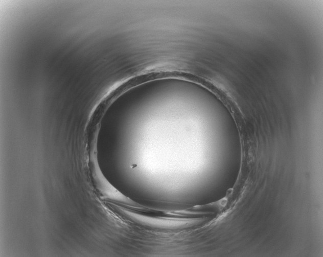 X0000067900973200604171358