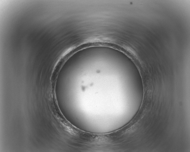 X0000067900974200604171358