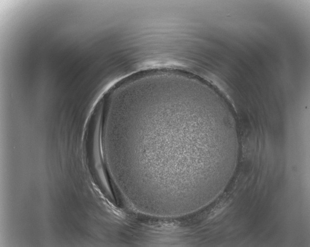 X0000067900975200604171358