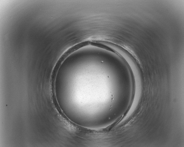 X0000067900976200604171358