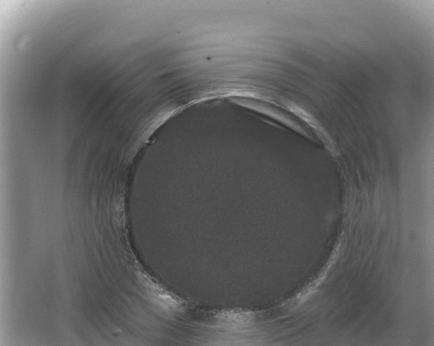 X0000067900977200604171358