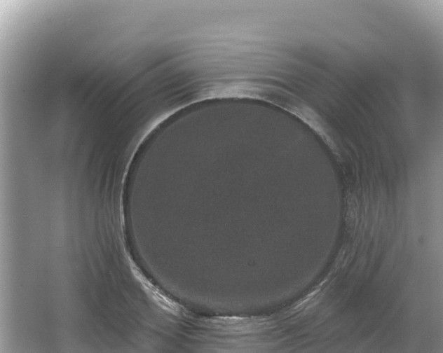 X0000067900980200604171358