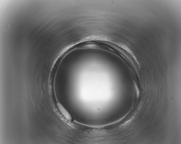 X0000067900981200604171358