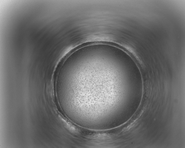 X0000067900982200604171358