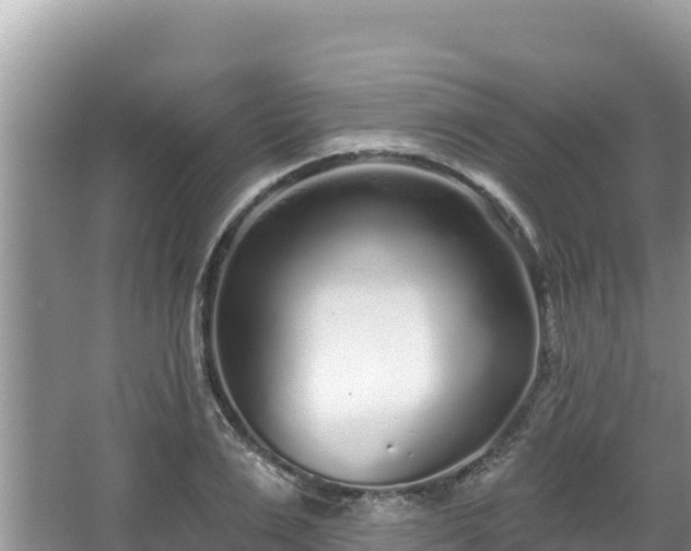 X0000067900983200604171358