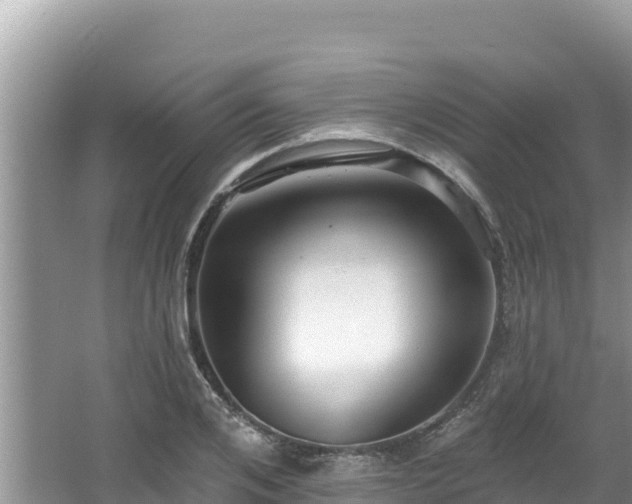 X0000067900984200604171358