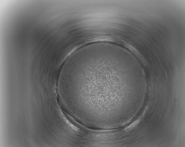 X0000067900985200604171358