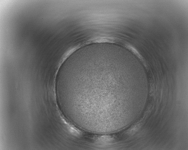 X0000067900986200604171358