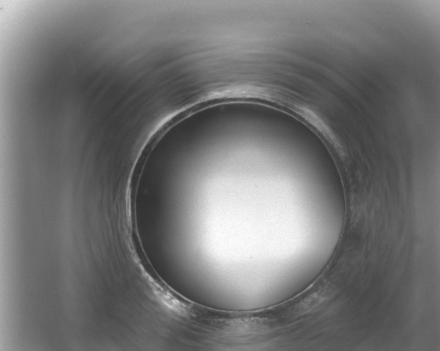 X0000067900988200604171358