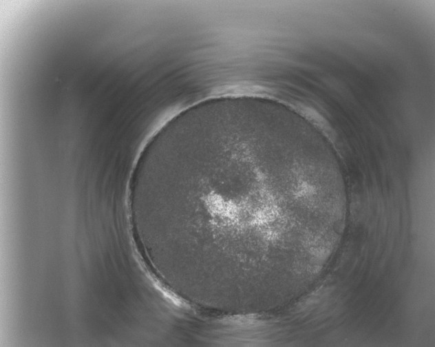 X0000067900990200604171358