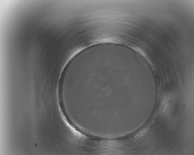 X0000067900991200604171358