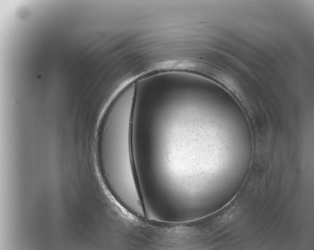 X0000067900992200604171358