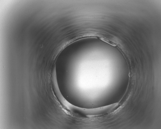 X0000067900993200604171358