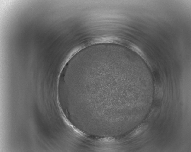 X0000067900994200604171358