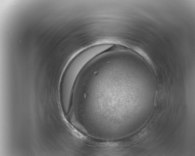 X0000067900996200604171358