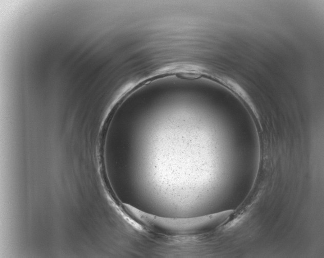 X0000067900997200604171358