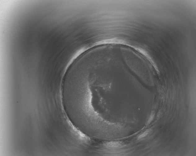 X0000067900998200604171358