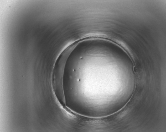 X0000067900999200604171358