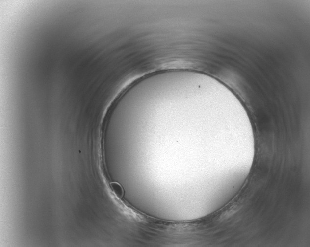 X0000067901000200604171358