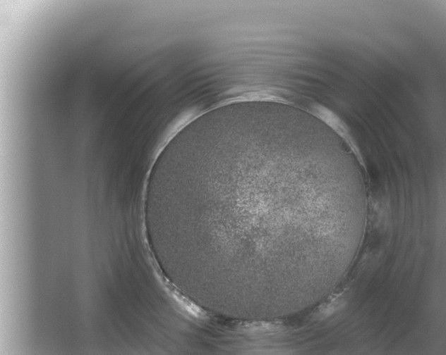 X0000067901002200604171358