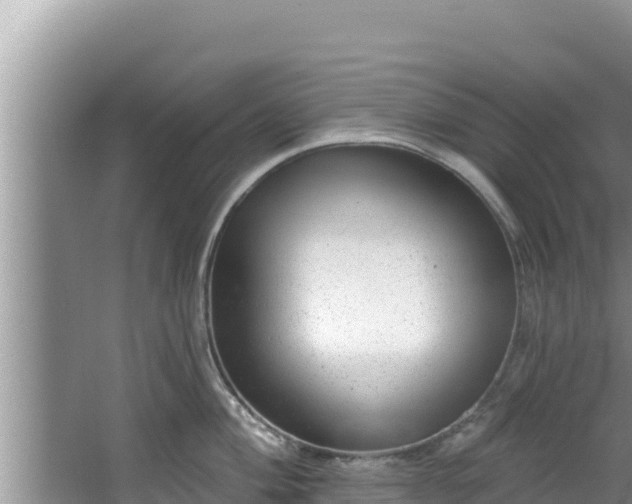 X0000067901004200604171358