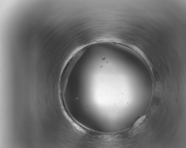 X0000067901005200604171358