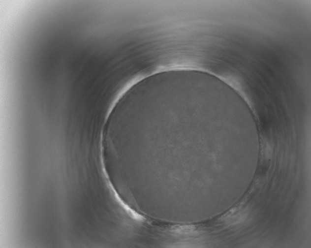 X0000067901006200604171358