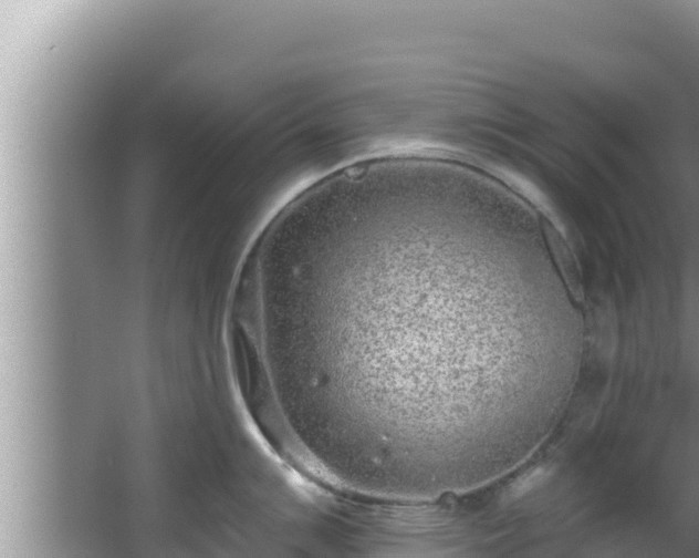 X0000067901007200604171358