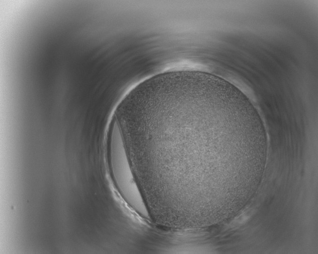 X0000067901008200604171358