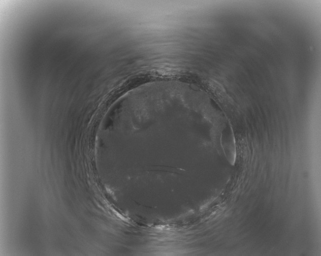 X0000067901009200604171357