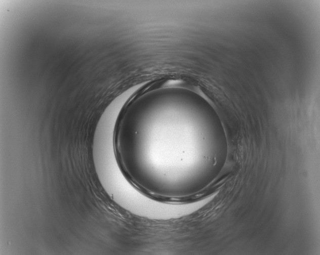 X0000067901010200604171357