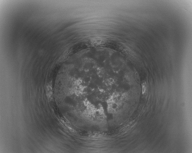 X0000067901011200604171357