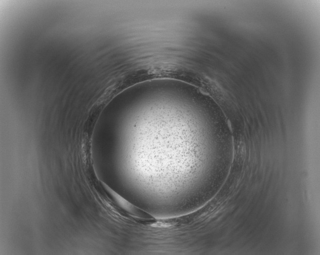 X0000067901012200604171357