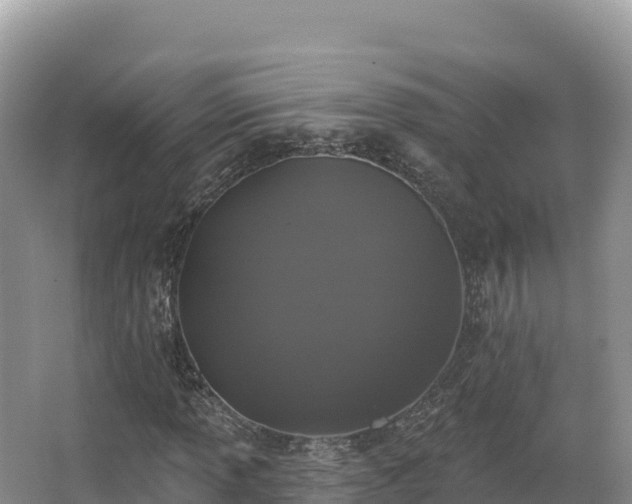 X0000067901013200604171357