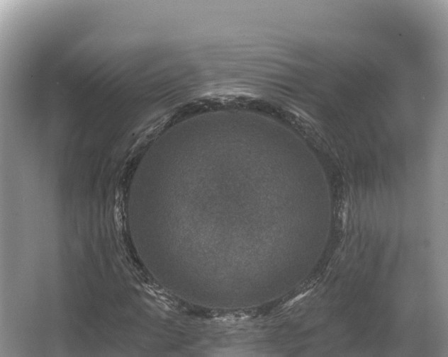 X0000067901014200604171357