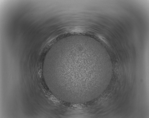 X0000067901015200604171357