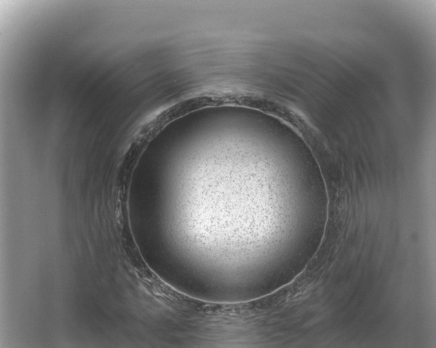 X0000067901016200604171357