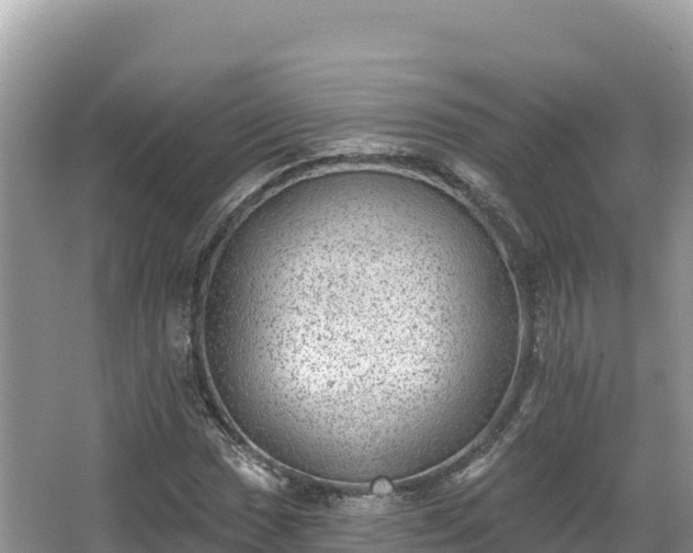 X0000067901017200604171357