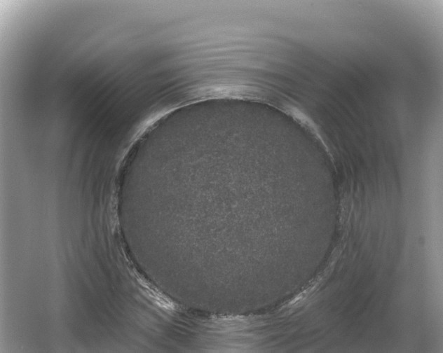 X0000067901019200604171357