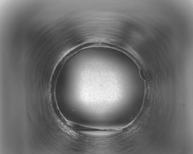 X0000067901020200604171357