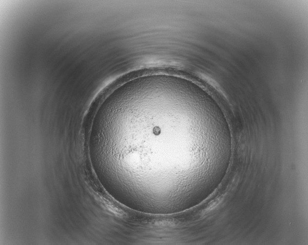 X0000067901021200604171357