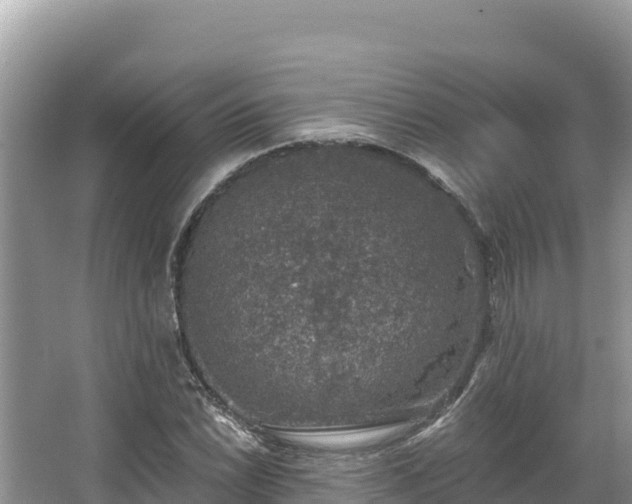 X0000067901022200604171357