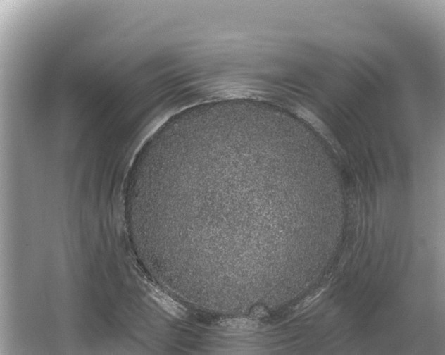 X0000067901023200604171357