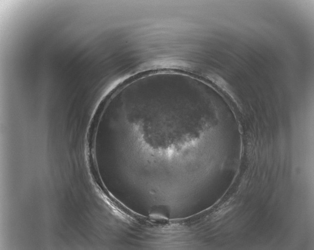 X0000067901024200604171357