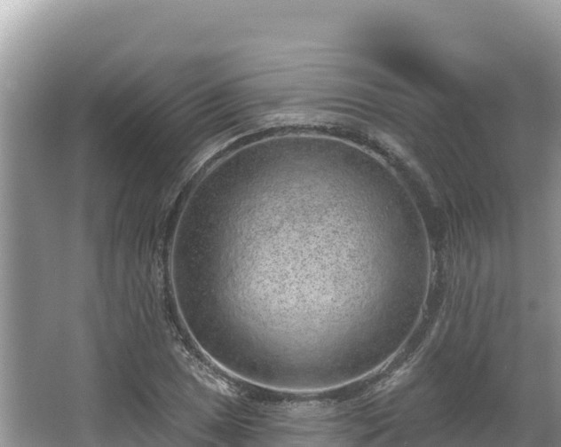 X0000067901025200604171357