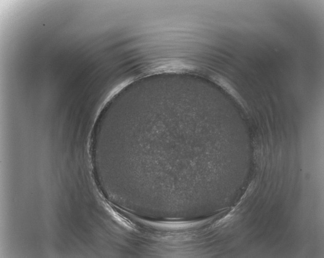 X0000067901026200604171357